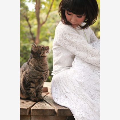 寫眞館　太陽と月（野崎よよこ）が撮影した「:albumName」の写真