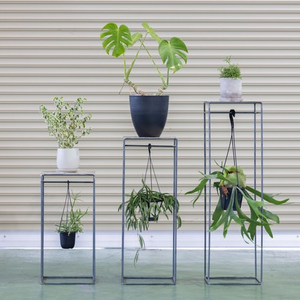 梅田　紫邑が撮影した商品/物撮りの写真