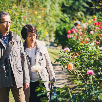 t_picturesが撮影した「:albumName」の写真