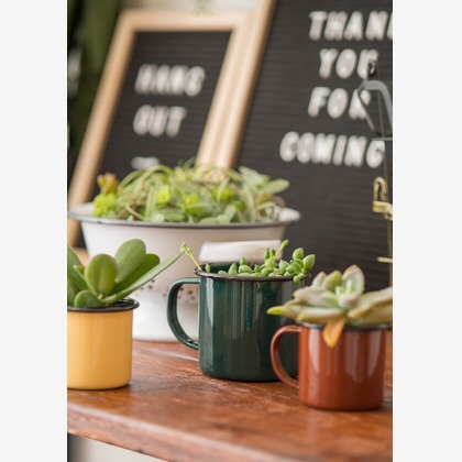 Yoppegraphy Photographic Serviceが撮影した「:albumName」の写真