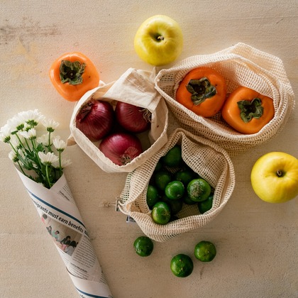 菅野　晴弥が撮影した「:albumName」の写真