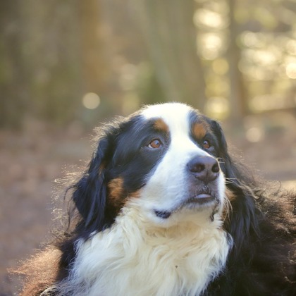 TSD officeが撮影した「:albumName」の写真