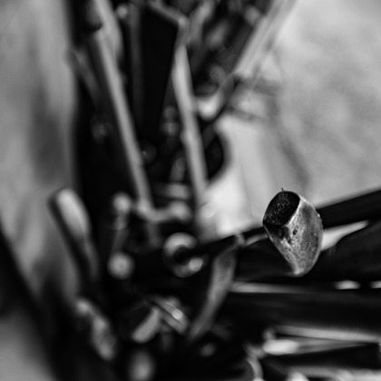 スタジオファンタスが撮影した「:albumName」の写真