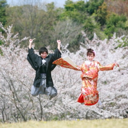 ピュアアーティス(小島 靖雄)が撮影した「:albumName」の写真