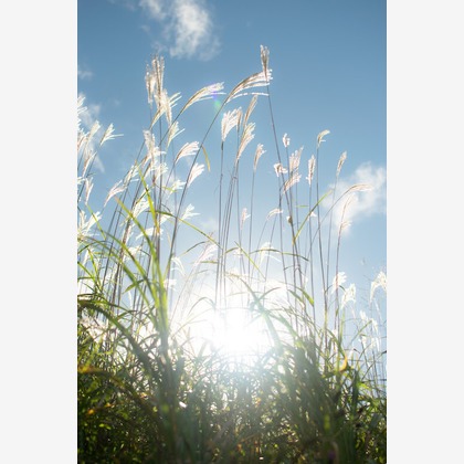 小野友輔が撮影したその他の写真