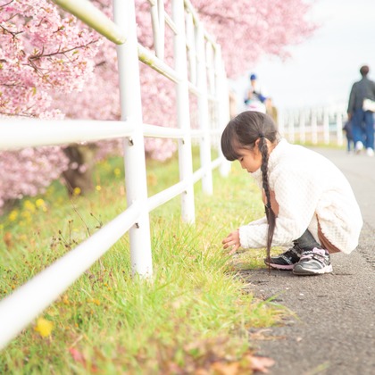 ゆのみふぉとが出張撮影した自然の中の人々, 手をつないで, 友情などが写った「桜とお写真」の家族写真