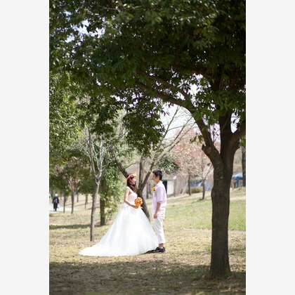 Happy Life Photo works (羽根田写真事務所)が撮影したウェディングや家族、ビジネスの写真