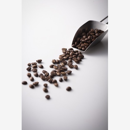 久保寺誠が撮影した料理撮影の写真