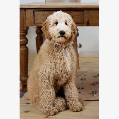 森安　照が撮影した「:albumName」の写真