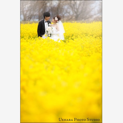 上原フォートスタジオが撮影したウェディングや家族、ビジネスの写真