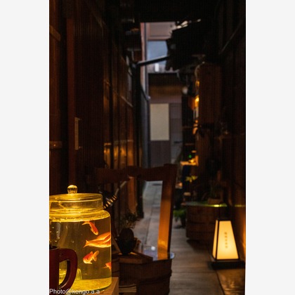 株式会社バックオフィスアクティが撮影した「:albumName」の写真