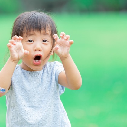 原田悠資が撮影した「:albumName」の写真