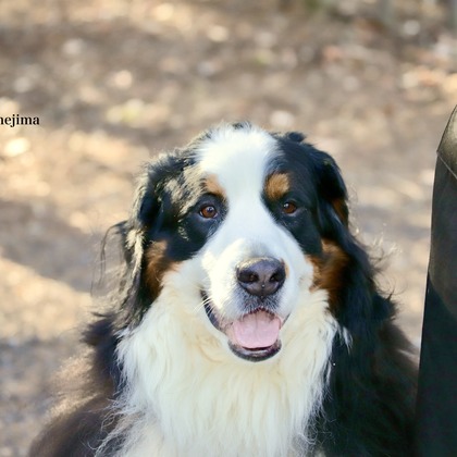 TSD officeが撮影した「:albumName」の写真