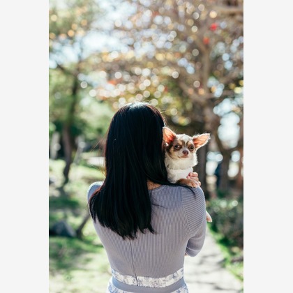 ポートレート沖縄が撮影した「:albumName」の写真