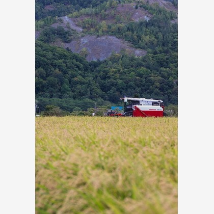 芳賀 翔大が撮影したイベント/スナップ撮影の写真
