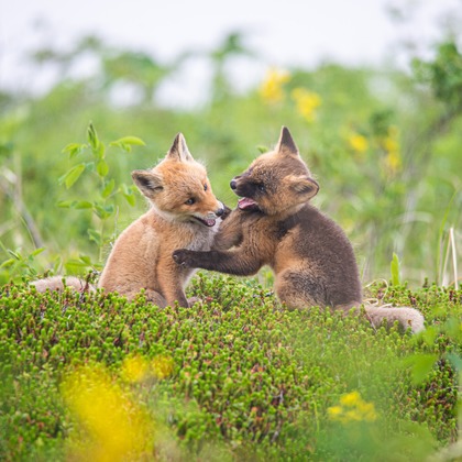 山口奈緒が撮影した「:albumName」の写真
