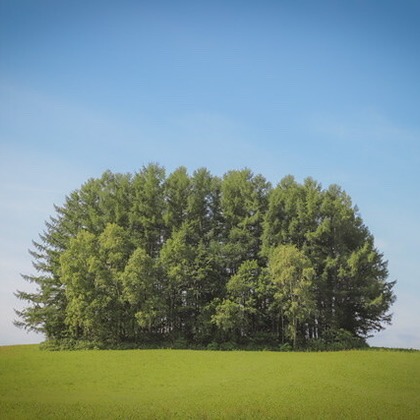 芳賀 翔大が撮影したイベント/スナップ撮影の写真
