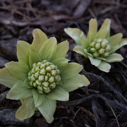 芳賀 翔大が撮影したイベント/スナップ撮影の写真