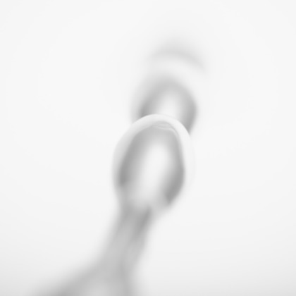 y-photoが撮影した「:albumName」の写真