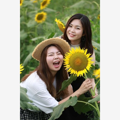 理 S PHOTOが撮影した「:albumName」の写真