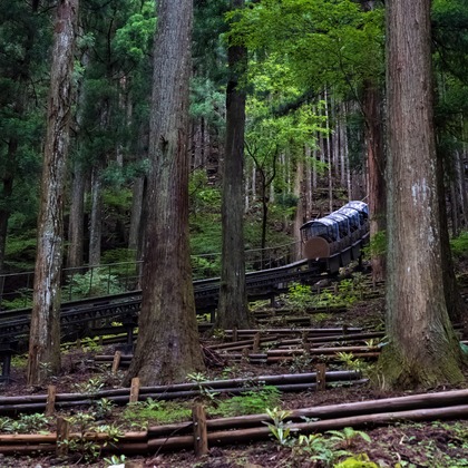 フォトスタジオ　ちっくたっくが撮影したその他の写真