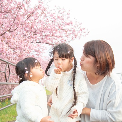 ゆのみふぉとが出張撮影した自然の中の人々, 手をつないで, 友情などが写った「桜とお写真」の家族写真