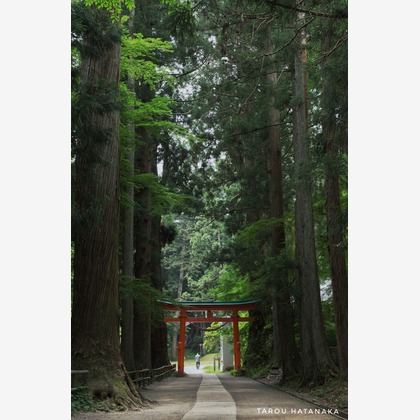 TAROU_HATANAKA が撮影したウェディングや家族、ビジネスの写真