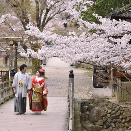 キキフォトワークスが撮影したウェディングや家族、ビジネスの写真