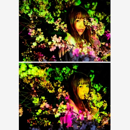 KIRAが撮影したウェディングや家族、ビジネスの写真