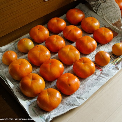 Katsuhiko Suzukiが撮影した「:albumName」の写真