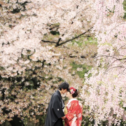 STUDIO GIROUX (下園啓祐)が撮影した「フォトギャラリー」の写真