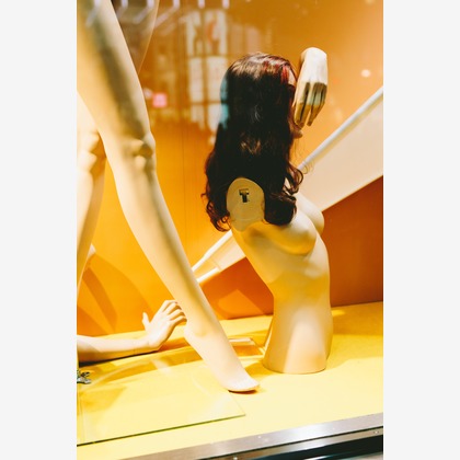 MIFUNEが撮影した「:albumName」の写真