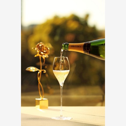 森安　照が撮影した「:albumName」の写真