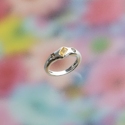 ARUKU PHOTOが撮影した「:albumName」の写真