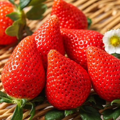 株式会社Neo-Smile 「locationbreeze」高橋 徹が撮影した「:albumName」の写真