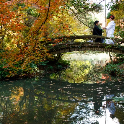 Photo of :albumName taken by Smilehunter