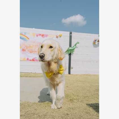 Keiphotoが撮影した「:albumName」の写真