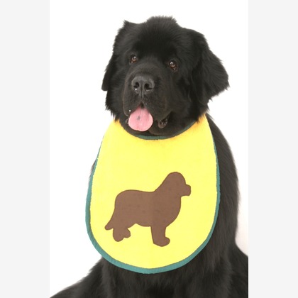 Hiroが撮影したスタジオ撮影の写真