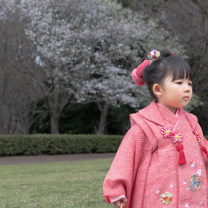 ミヤタカズコが撮影した「:albumName」の写真