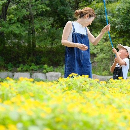 tomizoが撮影した「:albumName」の写真