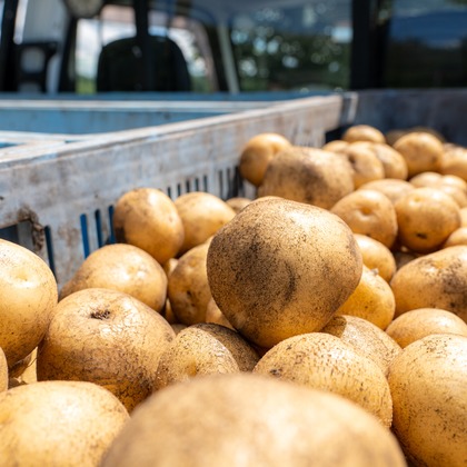 石橋宙大が撮影したウェディングや家族、ビジネスの写真