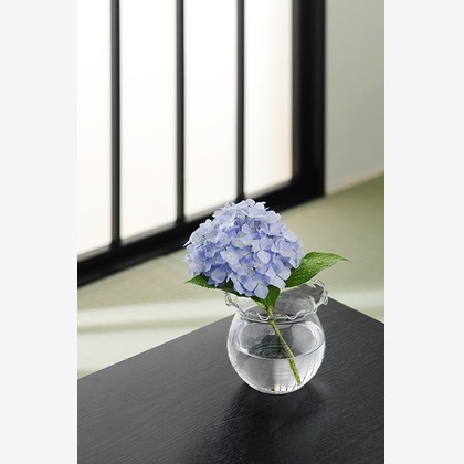 有限会社スタジオホリデーが撮影した「:albumName」の写真