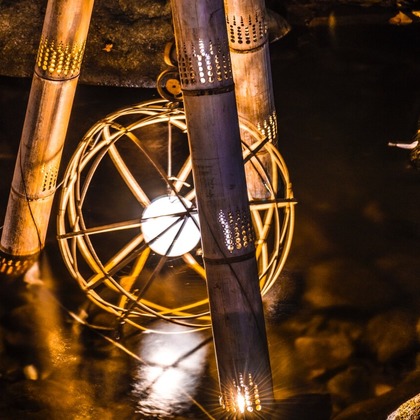 リトルダイナソーが撮影したその他/イベント/スナップ撮影の写真