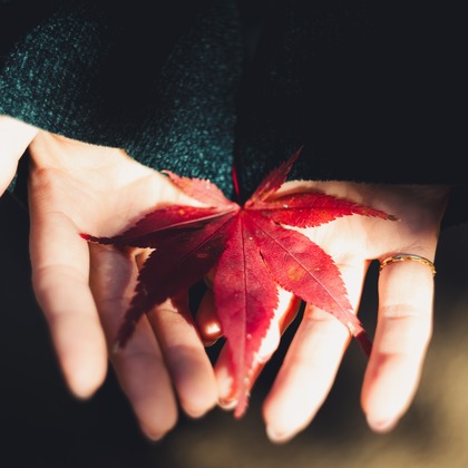 内藤駿介が撮影した「:albumName」の写真