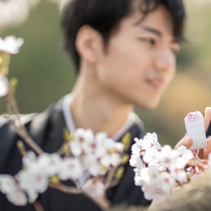 Photo of Kyoto　Prewedding photo with cherryblossom taken by saruco(Hisashi Iwasaki)