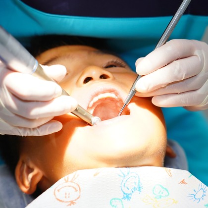 河野慈圓が撮影した「:albumName」の写真