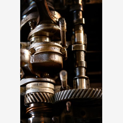 Yoppegraphy Photographic Serviceが撮影した「:albumName」の写真