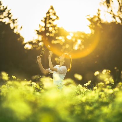 ケンタソーヤングが撮影した「」の写真