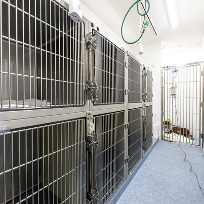 吉田佳央が撮影した「:albumName」の写真