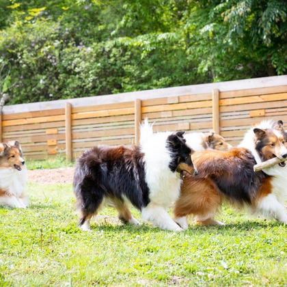 LUCE PHOTO WORKSが撮影したウェディングや家族、ビジネスの写真